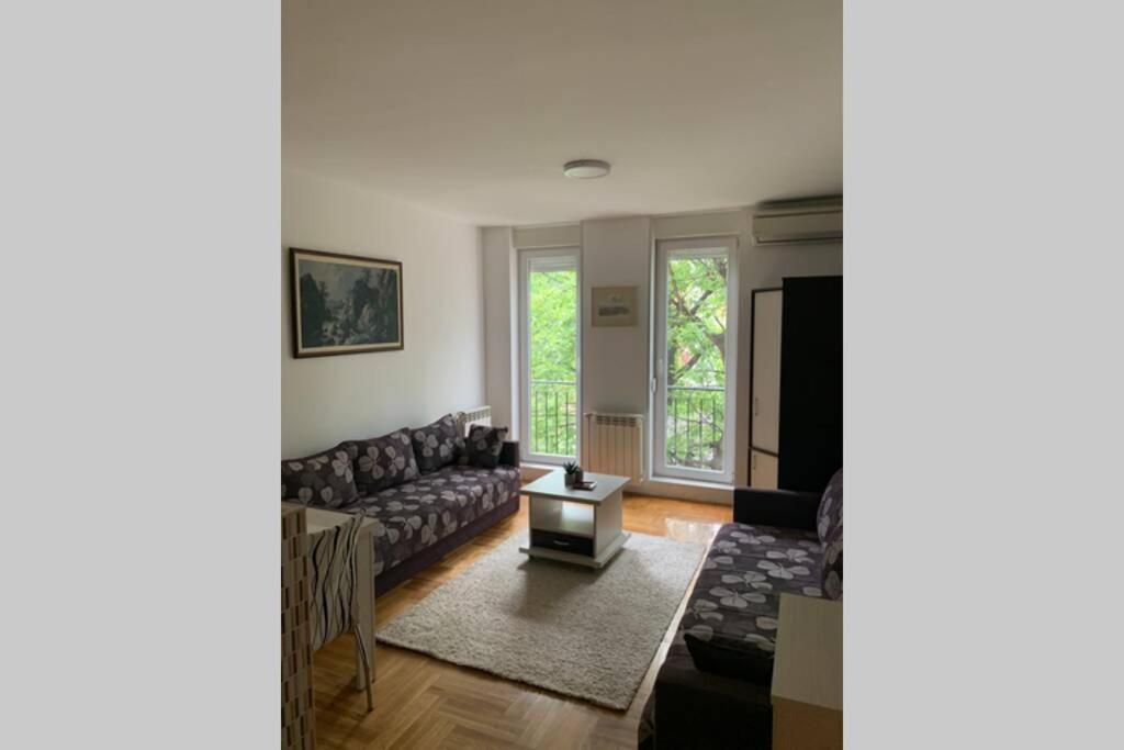 Renovated Cozy Studio 7 At Top Location - Available For Long Term Rentals Novi Sad Exterior foto